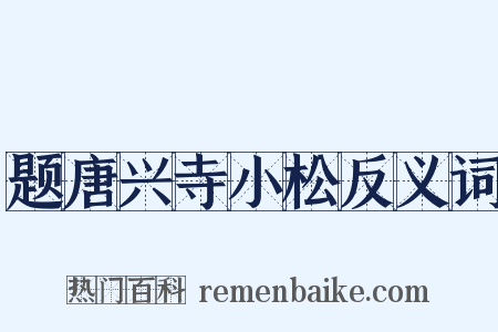 题唐兴寺小松反义词是什么意思的图片